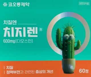 치지렌정 60정