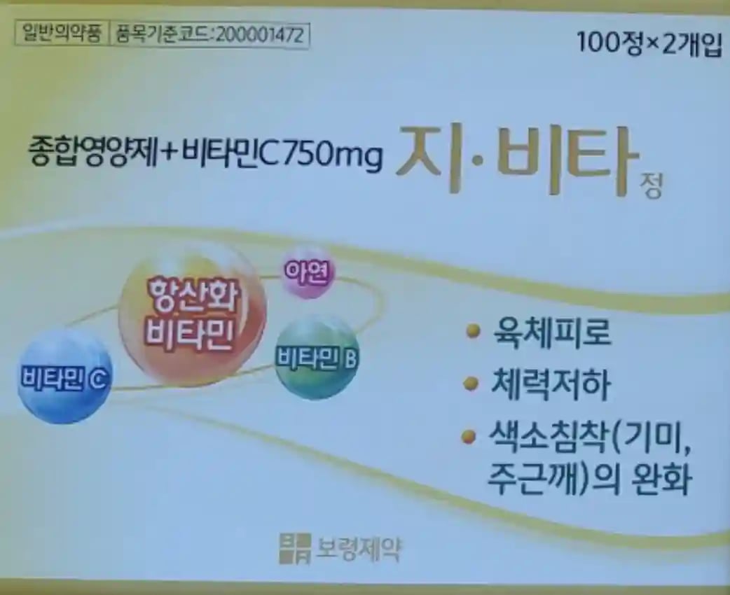 지비타정100정X2개입