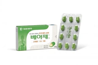 베아제정 100정