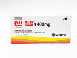 젠텔정 400mg 2정