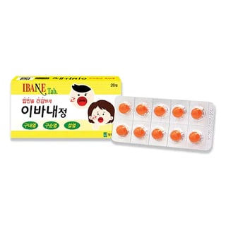 이바내정 20정