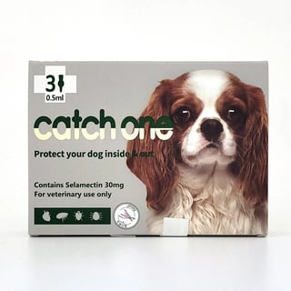 캐치원 독 2.5~5kg 0.5ml 3ea