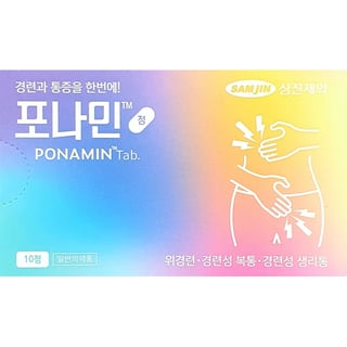 포나민정 10정