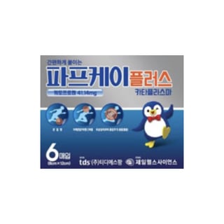 파프케이 플러스 카타플라스마 8x12cm 6매입