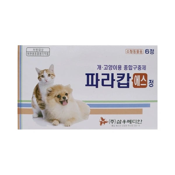 파라캅 에스정 6정
