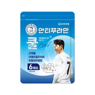 안티푸라민 쿨 카타플라스마 6매입