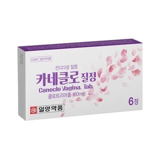 카네클로 질정 6정