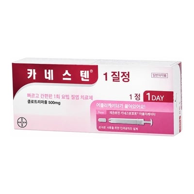 카네스텐 1질정