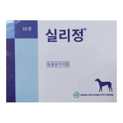 실리정 10정