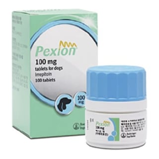 펙시온정 100mg 100정