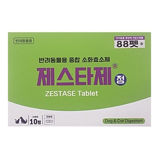 제스타제정 10정