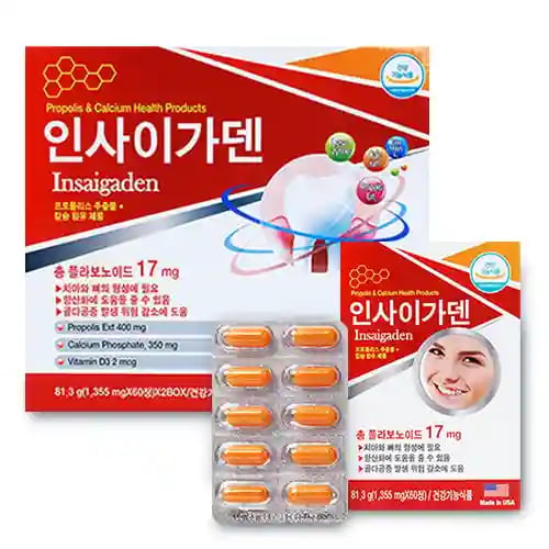 인사이가덴 120정