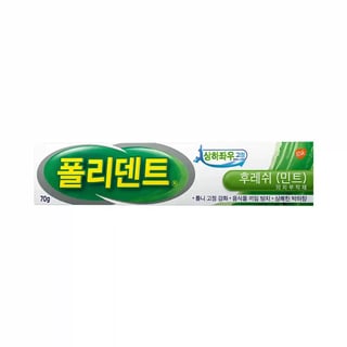 폴리덴트 의치부착제 70g