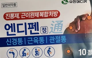 엔디펜정 10정