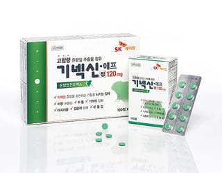 기넥신 에프정 120mg 100정