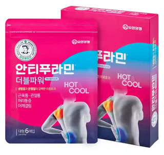 안티푸라민 더블파워 대형 6매입