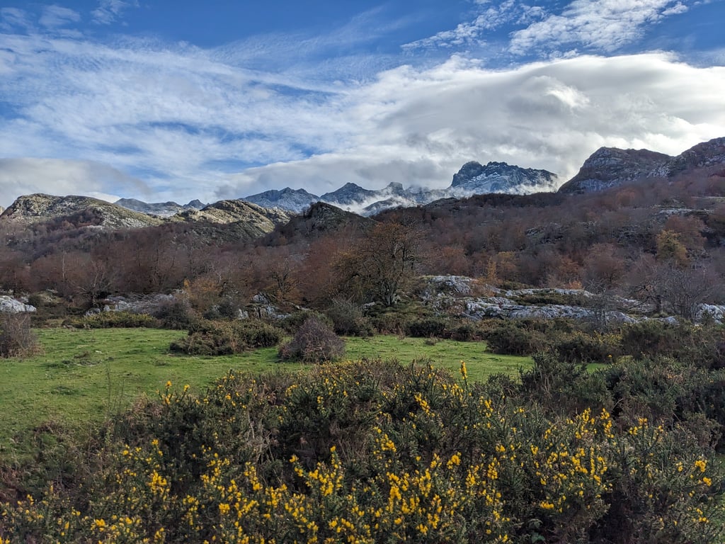 Autumn in Picos