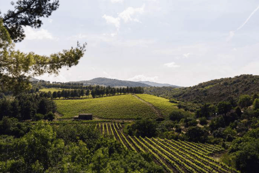 Abbazia Santa Anastasia — photo 7