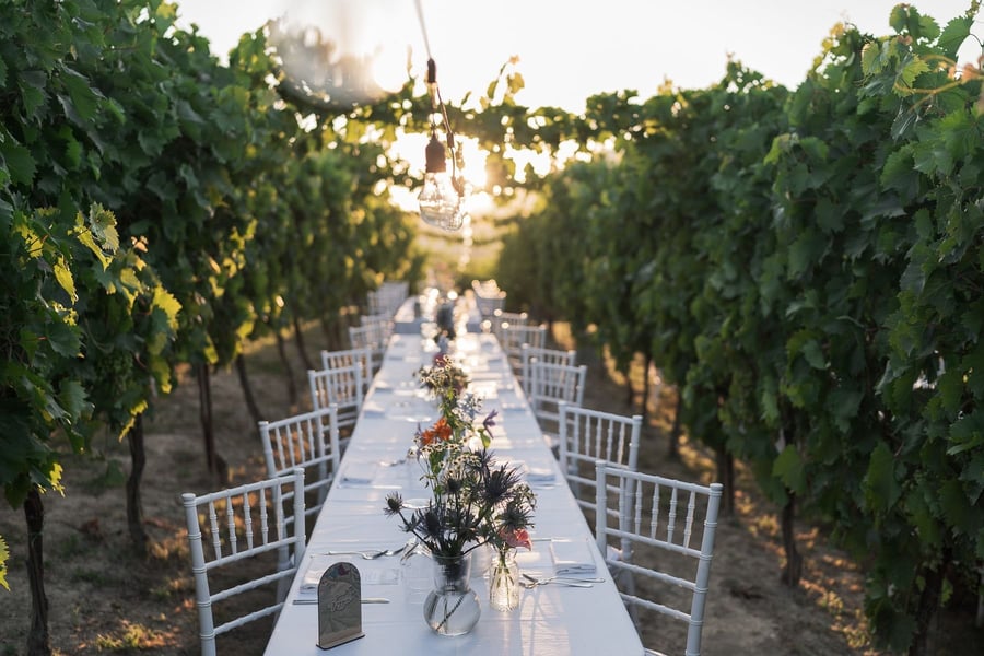 Agriturismo Oasi Biologica — photo 1