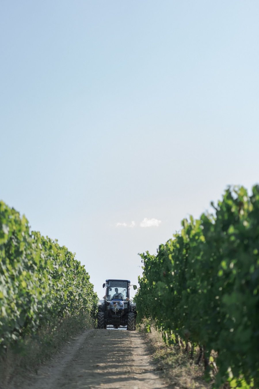 Agriturismo Oasi Biologica — photo 7