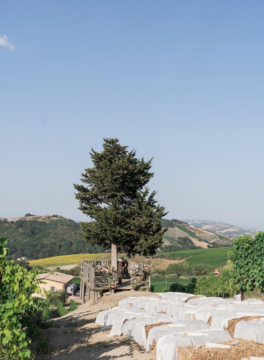 Agriturismo Oasi Biologica — photo 10