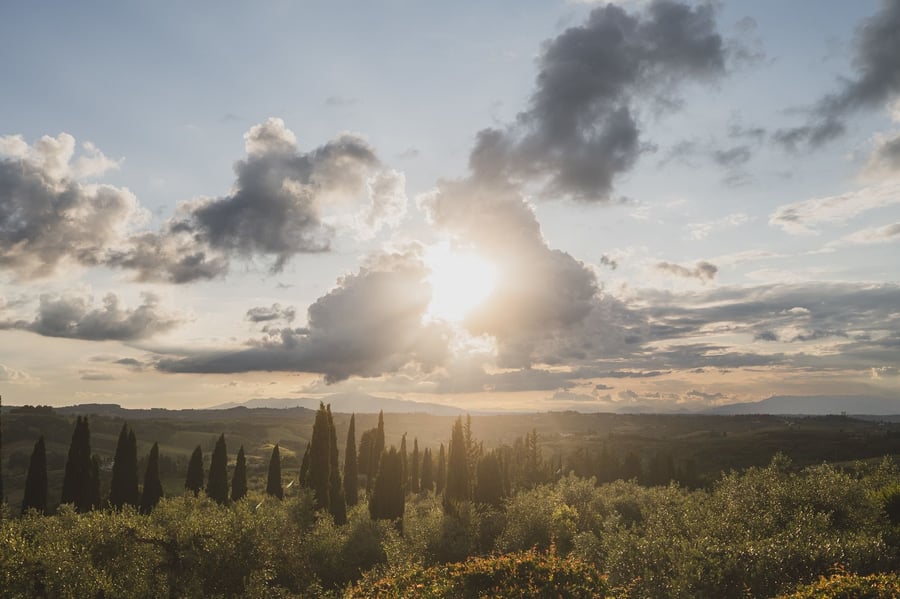 Antica Fattoria Paterno — photo 15