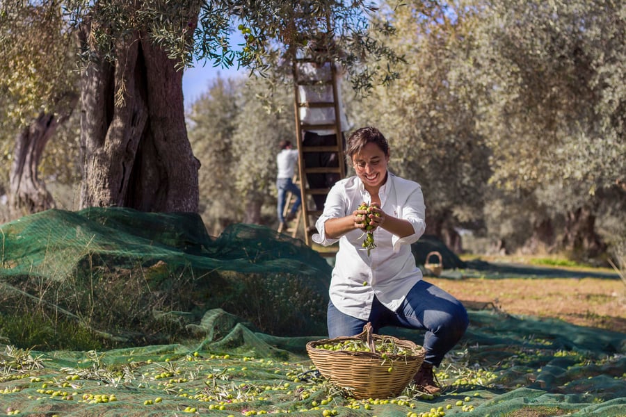 Baglio Occhipinti — photo 4