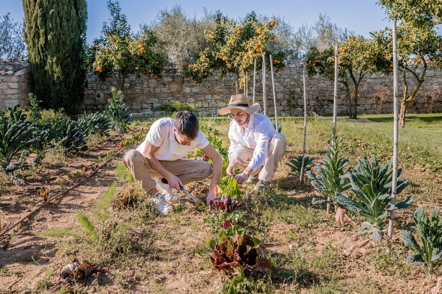 Baglio Occhipinti — photo 7