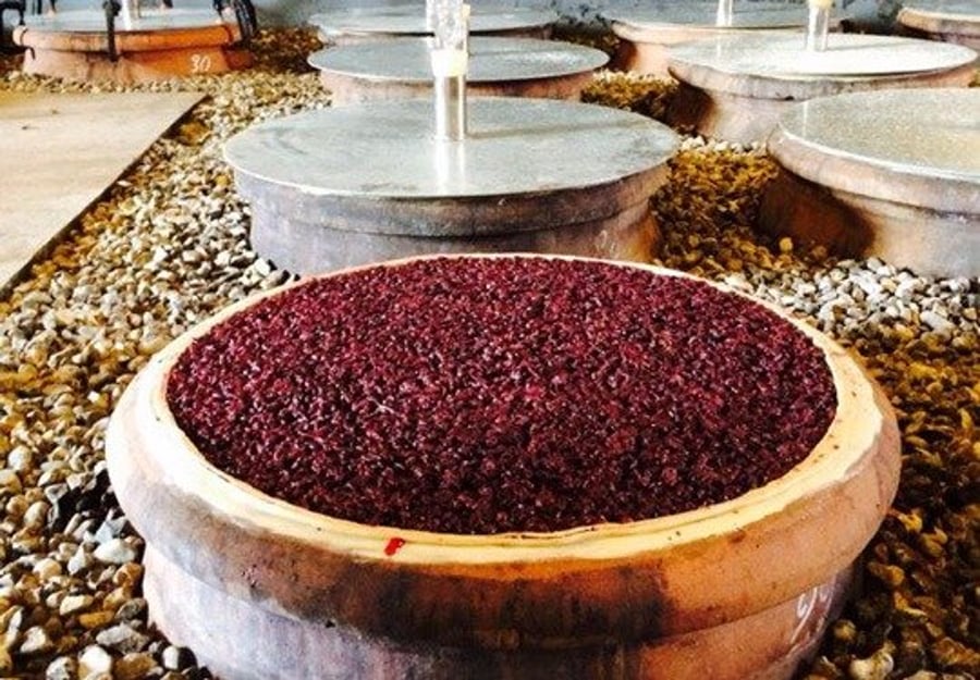 Baglio Occhipinti — photo 16