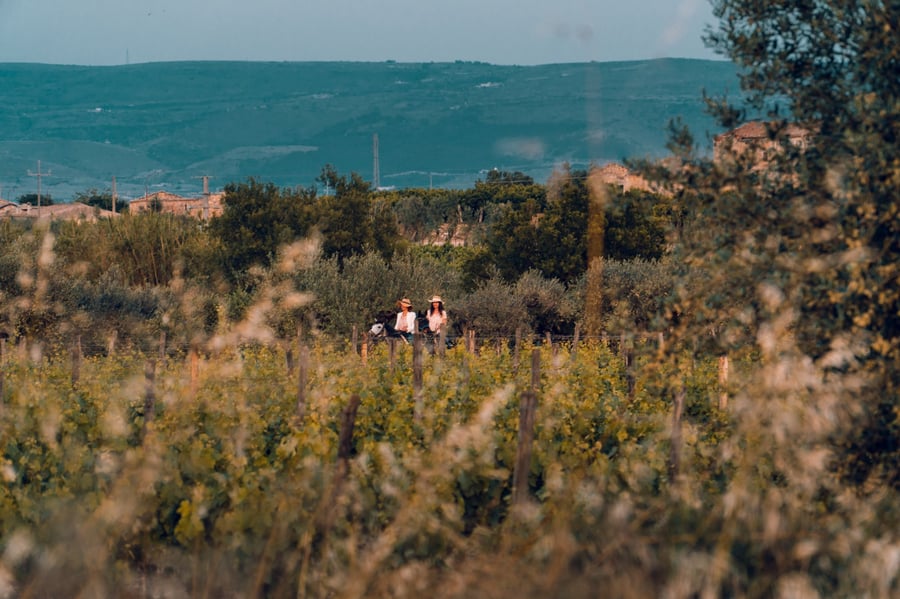 Baglio Occhipinti — photo 19