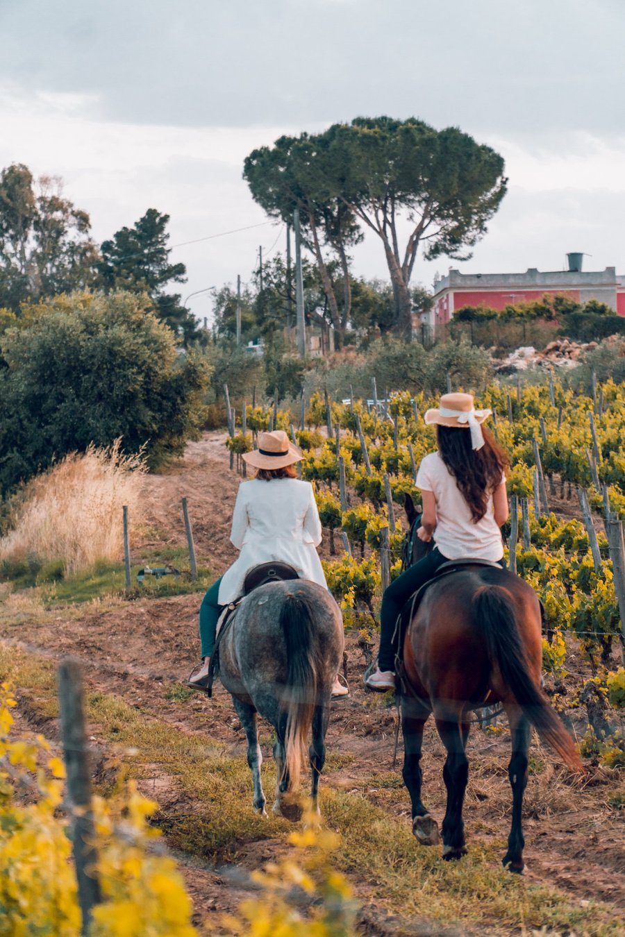 Baglio Occhipinti — photo 20