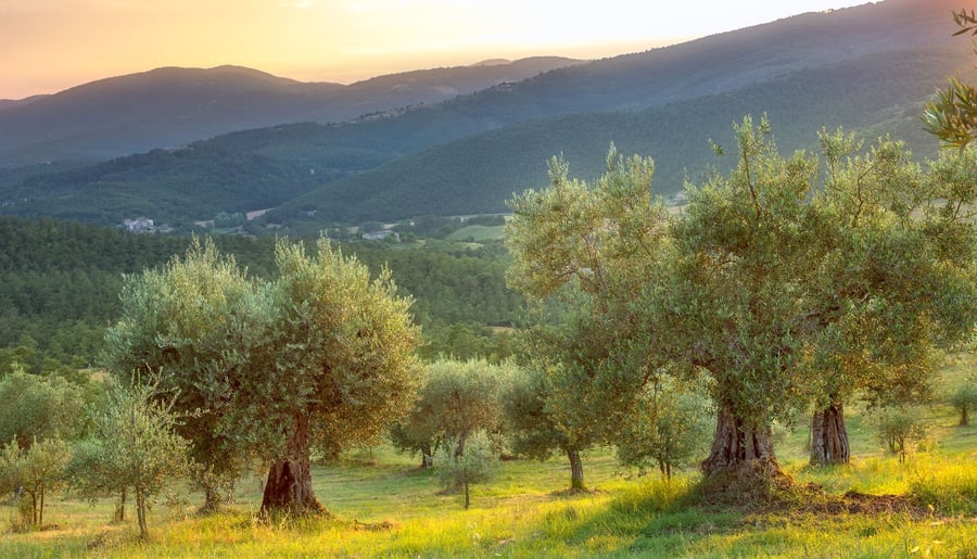 Borgo Bastia Creti — photo 19