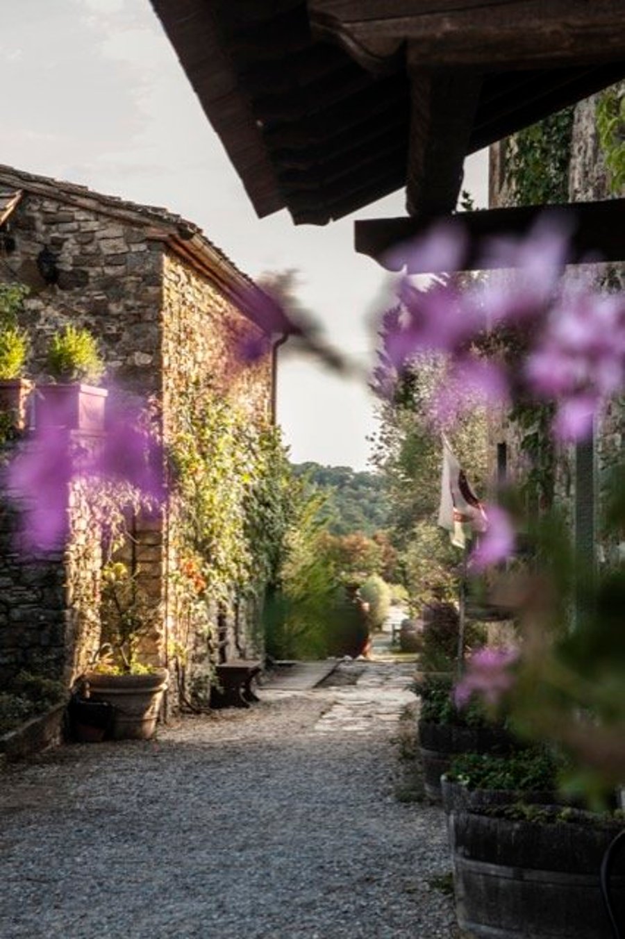 Borgo Casa al Vento — photo 4