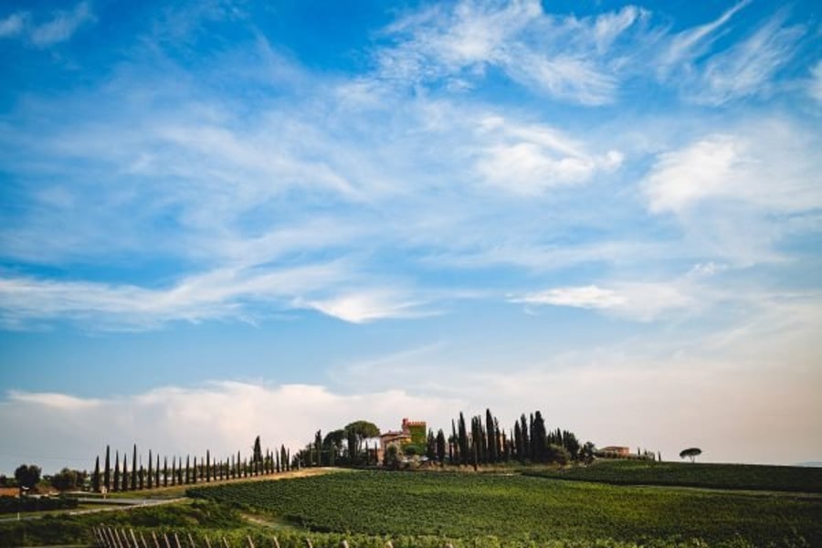 Borgo Tre Rose — photo 5