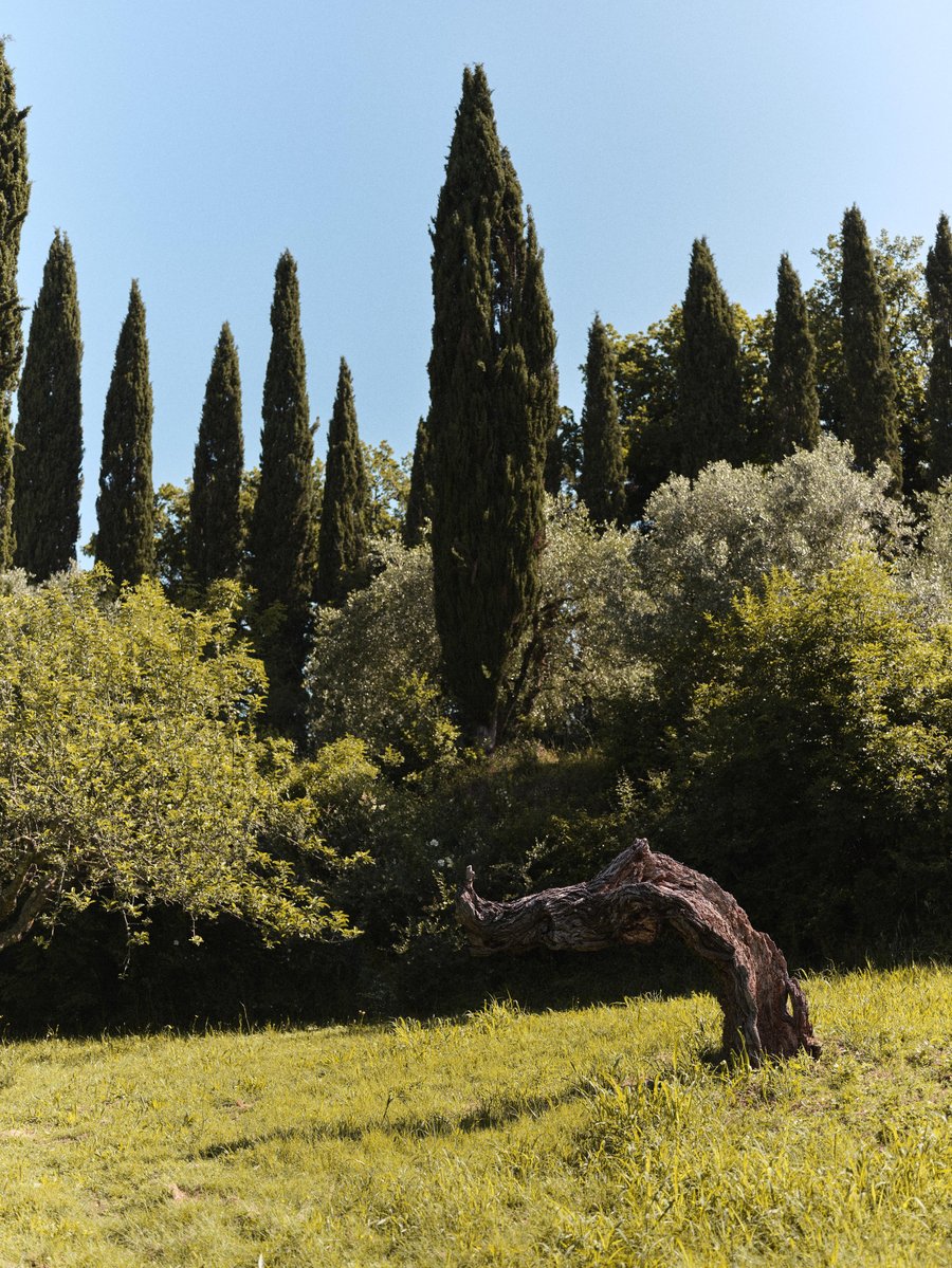 Casa Farsetti — photo 1