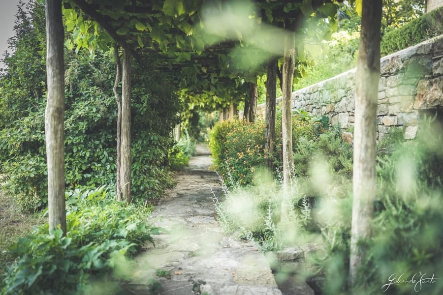 Castello di Fighine — photo 3