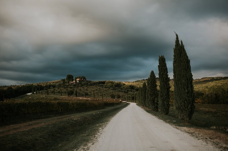 Conti di San Bonifacio — photo 3