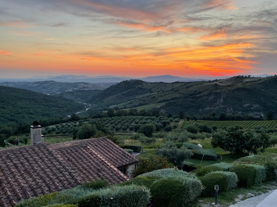 Fattoria La Pieve — photo 14