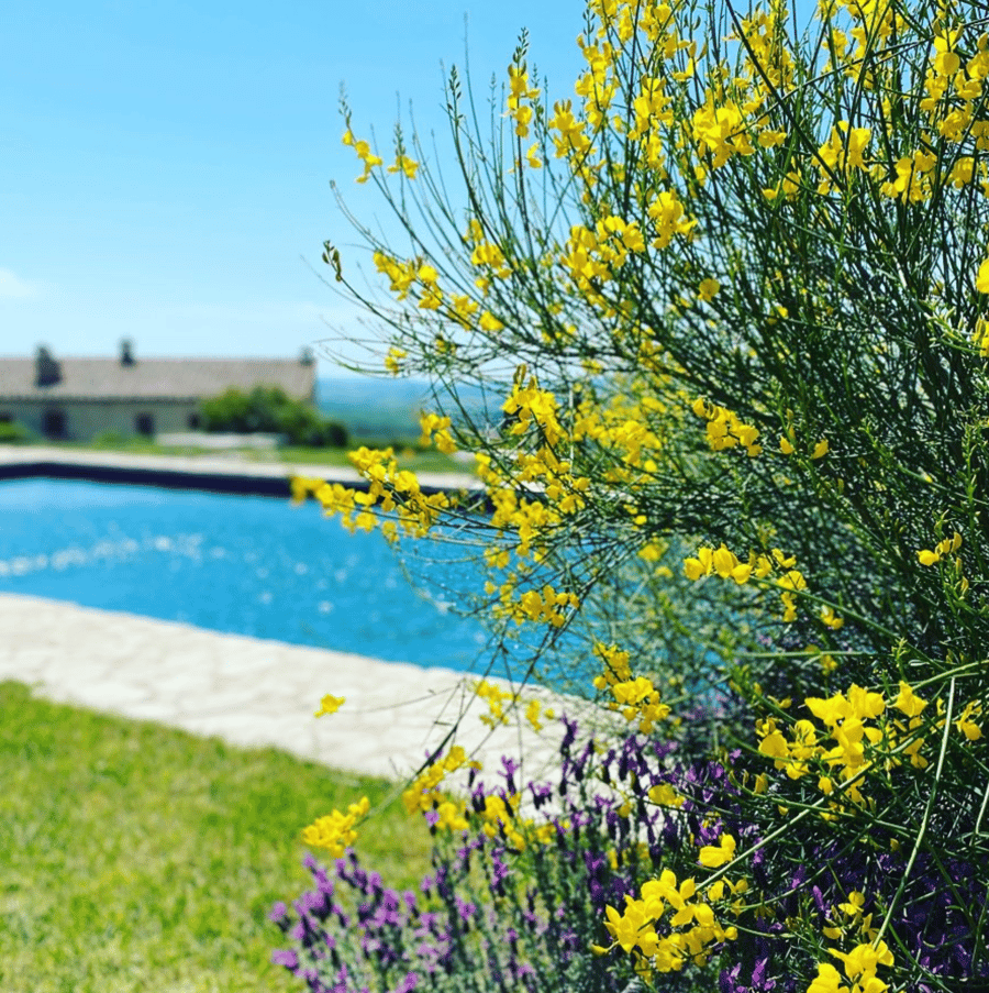 Il Cellese — photo 4