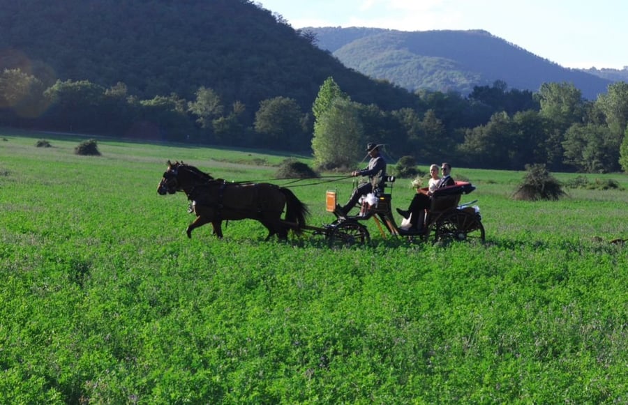La Casella Antico Feudo di Campagna — photo 12