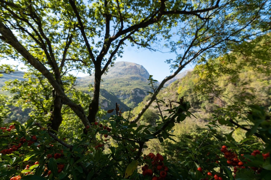 La Roccaccia — photo 19