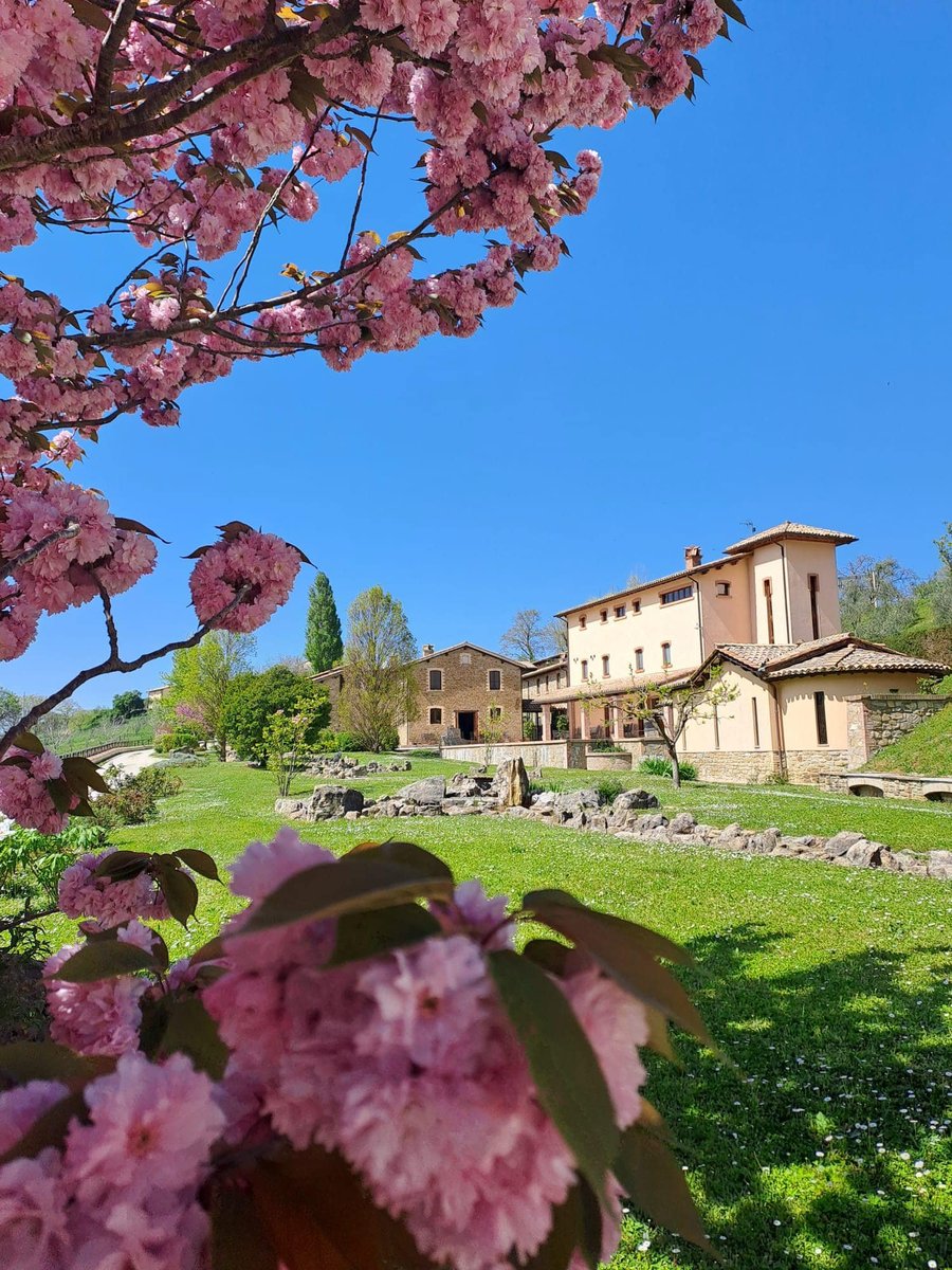 Le Case Agriturismo — photo 1