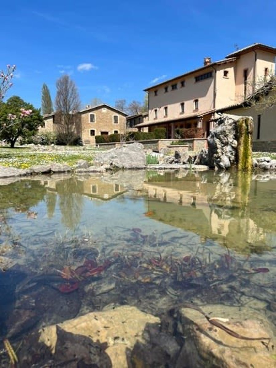 Le Case Agriturismo — photo 8