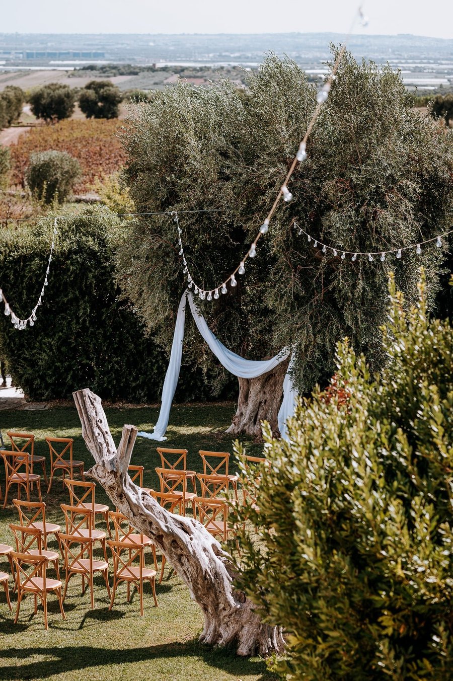 Masseria Angiulli Piccolo — photo 12