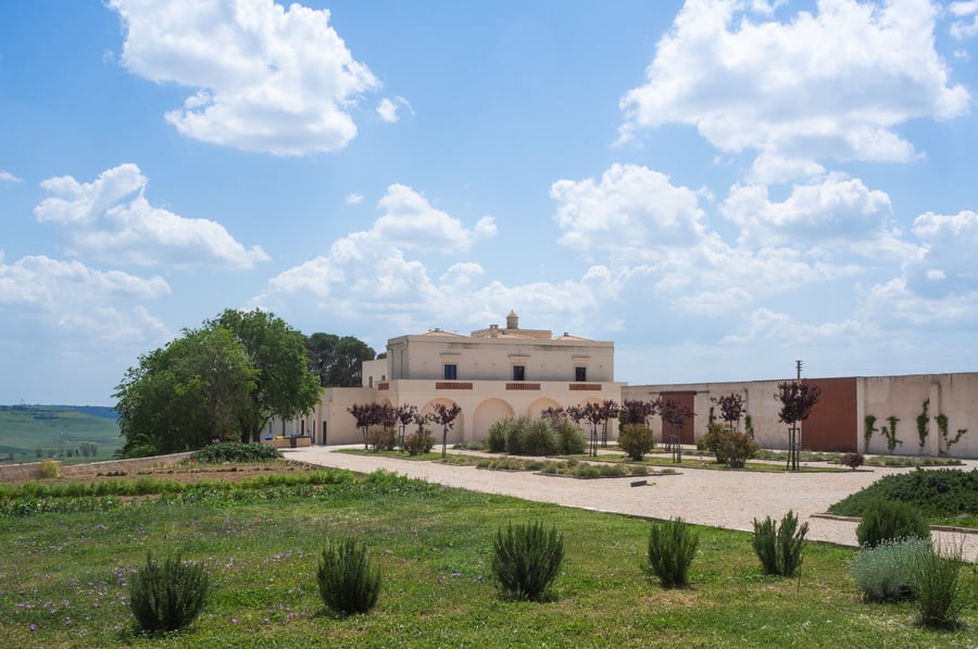Masseria Fontana di Vite — photo 21