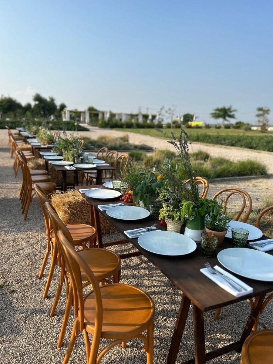 Masseria Fontana di Vite — photo 41