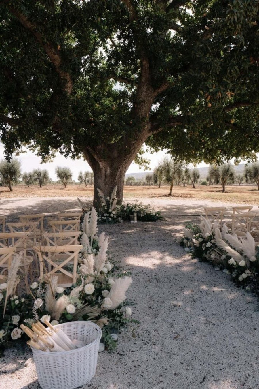 Masseria Grieco — photo 34