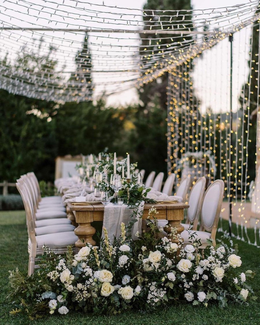 Pancolina — photo 6