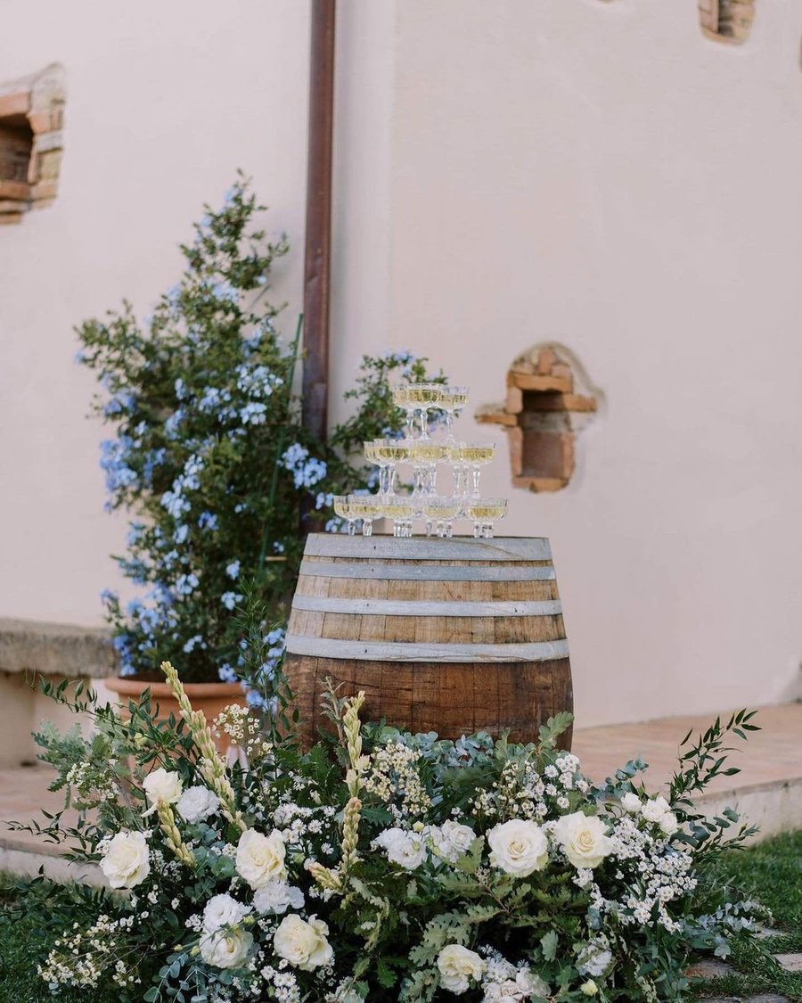 Pancolina — photo 12