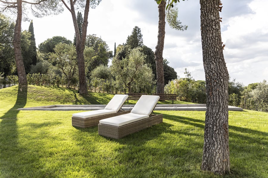 Pancolina — photo 13